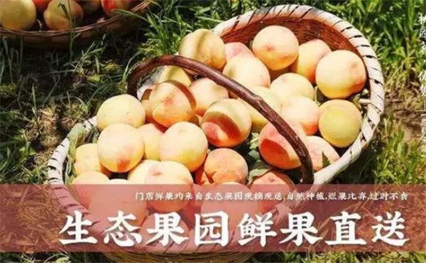 桃园茗奶茶加盟加盟费用