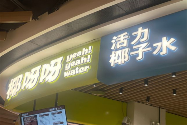 椰呀呀活力椰子水加盟加盟费用