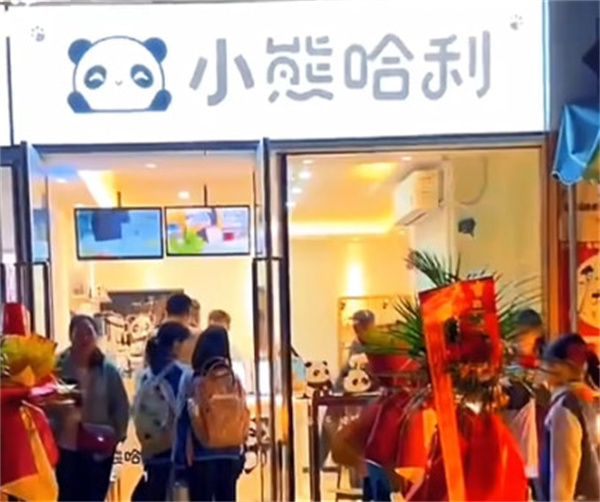 小熊哈利奶茶加盟加盟费用