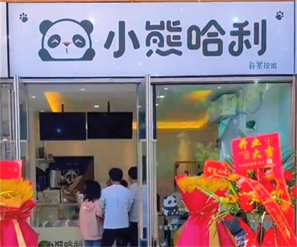 小熊哈利奶茶加盟加盟费用