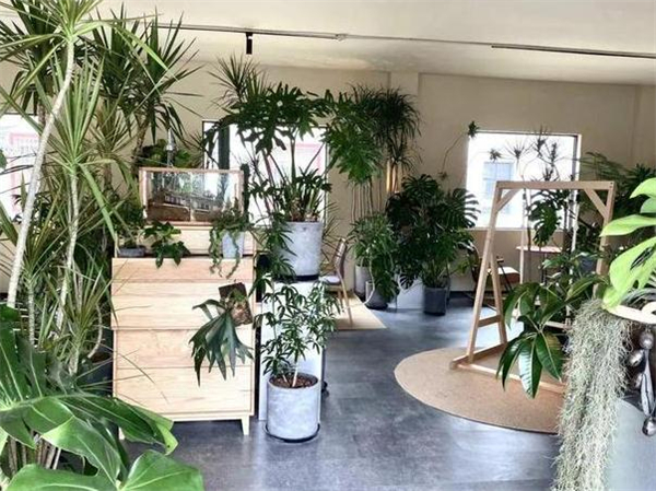 一尺花园咖啡店加盟加盟费用