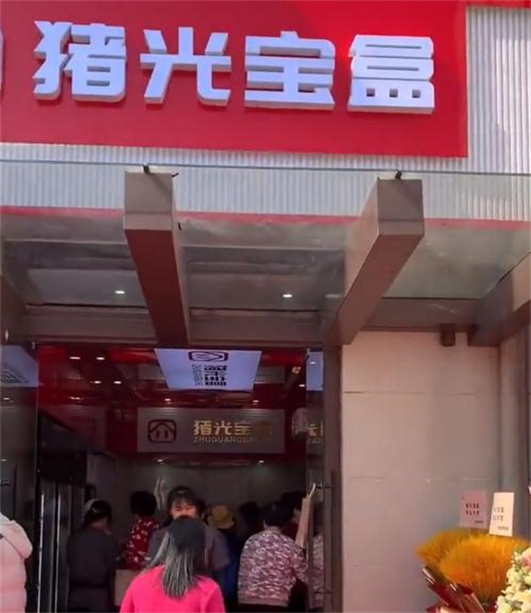 猪光宝盒加盟加盟费用