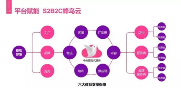 蜂鸟部落加盟加盟费用
