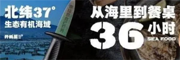 开蚝屋生蚝海鲜烧烤加盟加盟费用
