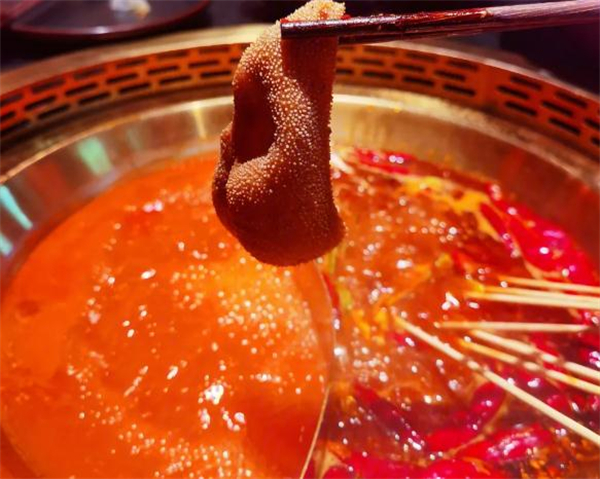 渝利重庆火锅加盟加盟费用