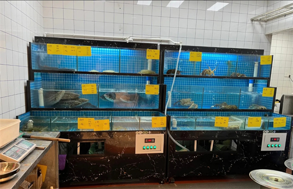 陆食7号海鲜本帮江浙菜加盟加盟费用