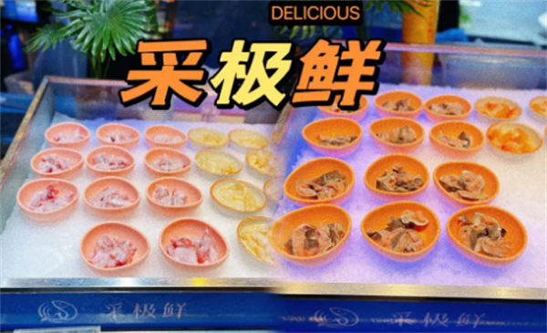 采极鲜新概念海鲜自助餐厅加盟加盟费用