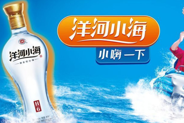 洋河小海加盟费用