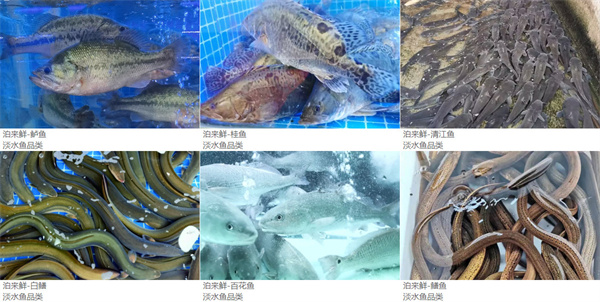 泊来鲜海鲜超市加盟加盟费用