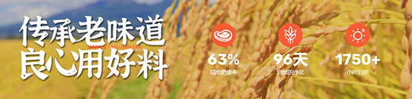 腩爷牛腩饭加盟加盟费用
