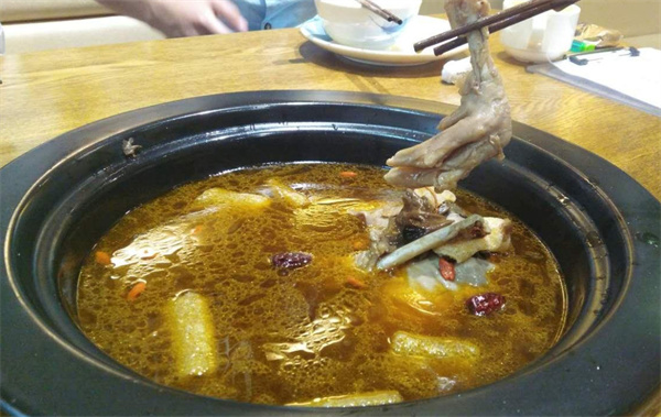 鹅小乐生态鹅火锅加盟加盟费用