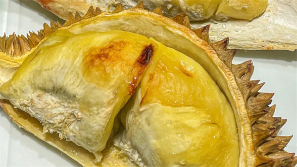榴莲烤生加盟加盟费用