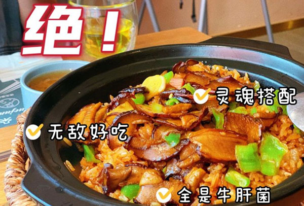 一朵菌野生菌火锅加盟加盟费用