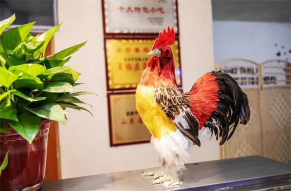 夏格庄蒜香鸡加盟加盟费用