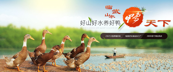 舜华临武鸭加盟加盟费用