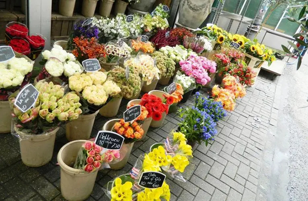 深圳花店加盟加盟费用