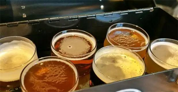 上海精酿啤酒加盟加盟费用