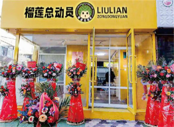 榴莲总动员加盟加盟费用