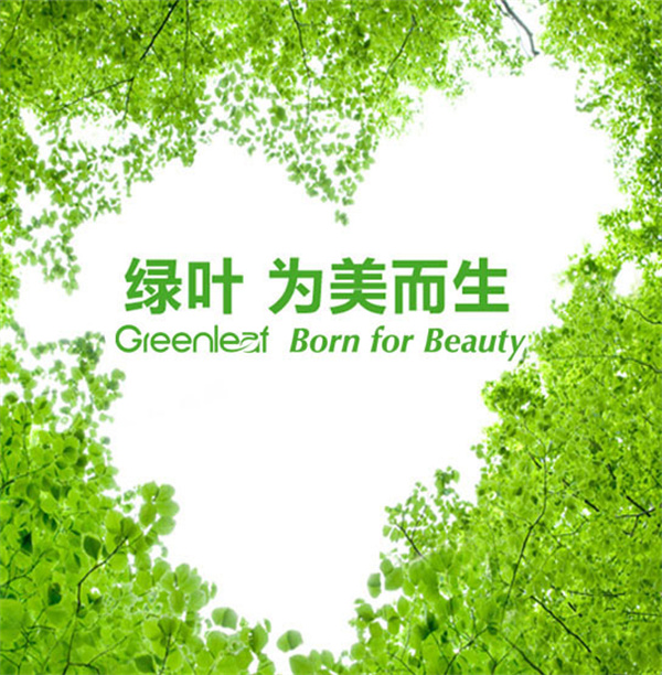 绿叶超市加盟加盟费用