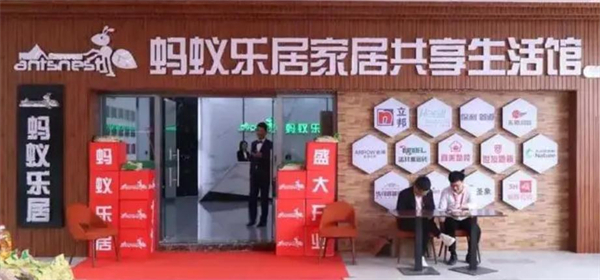 蚂蚁乐居加盟加盟费用
