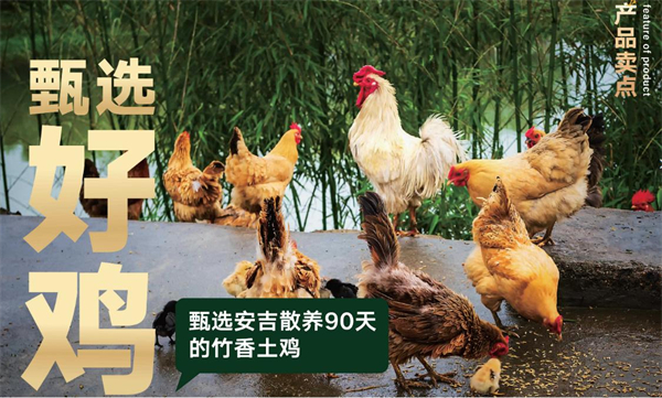 竹一隐叫花鸡加盟加盟费用