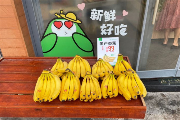 老果农水果店加盟加盟费用