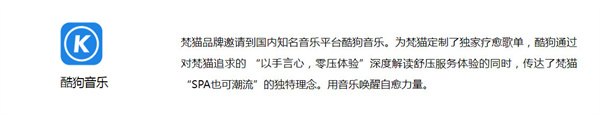 梵猫spa加盟加盟费用