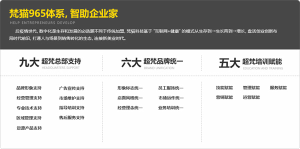 梵猫spa加盟加盟费用
