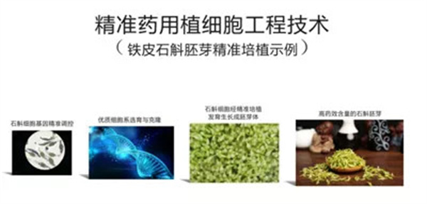 御本堂加盟加盟费用