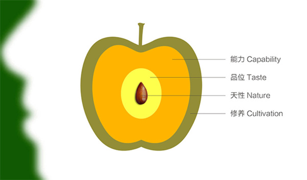 杨梅红教育加盟加盟费用