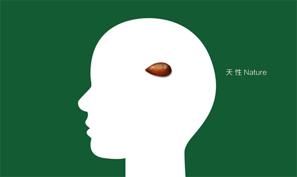 杨梅红教育加盟加盟费用