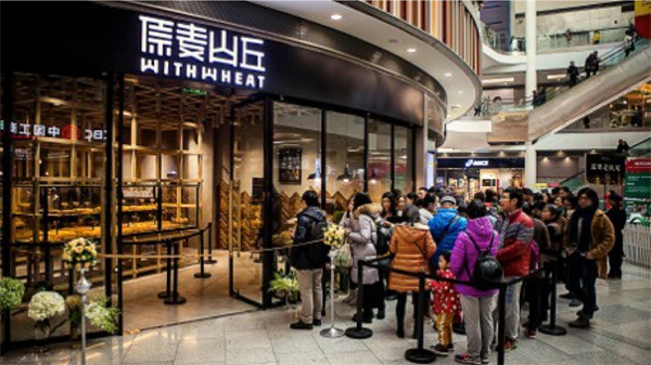 原麦山丘加盟加盟费用