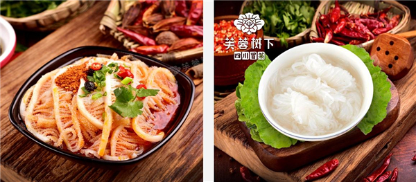 芙蓉树下冒菜加盟加盟费用