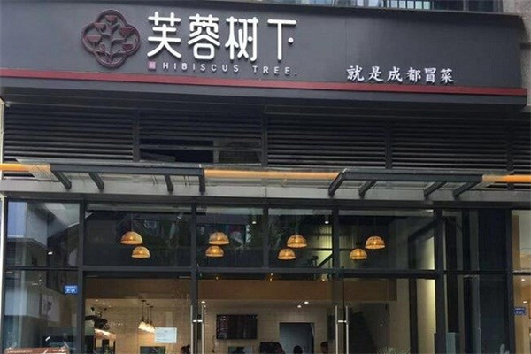 芙蓉树下冒菜加盟加盟费用