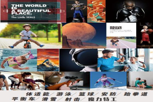 小小特工青少儿运动中心加盟加盟费用