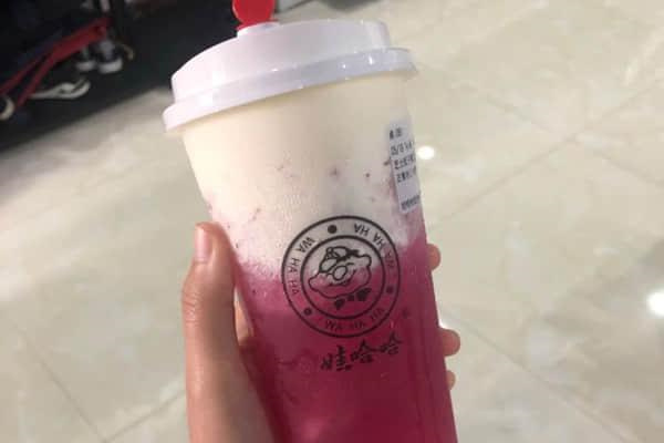 娃哈哈奶茶加盟加盟费用