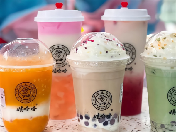 娃哈哈奶茶加盟加盟费用