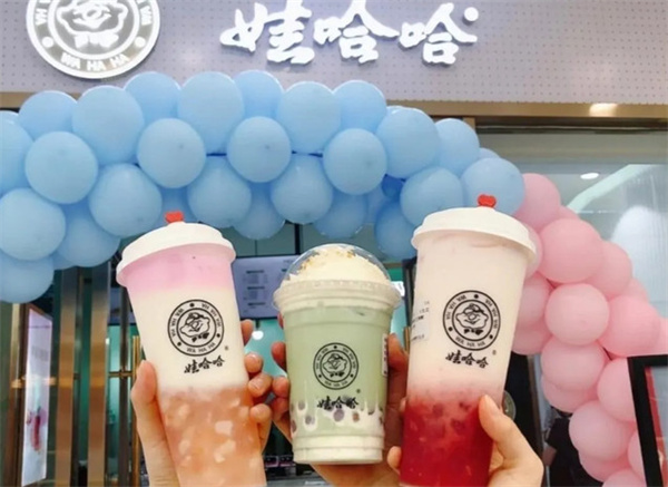 娃哈哈奶茶加盟加盟费用