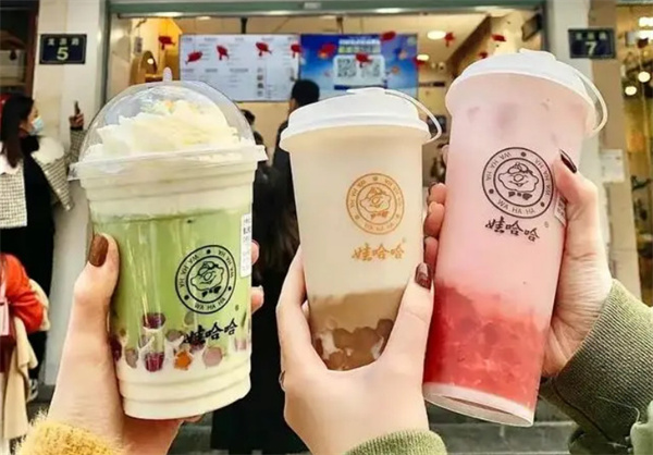 娃哈哈奶茶加盟加盟费用