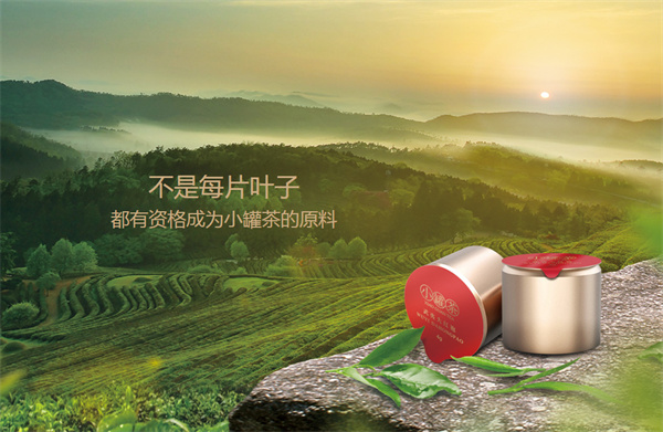 小罐茶加盟加盟费用