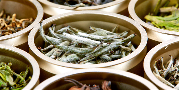小罐茶加盟加盟费用