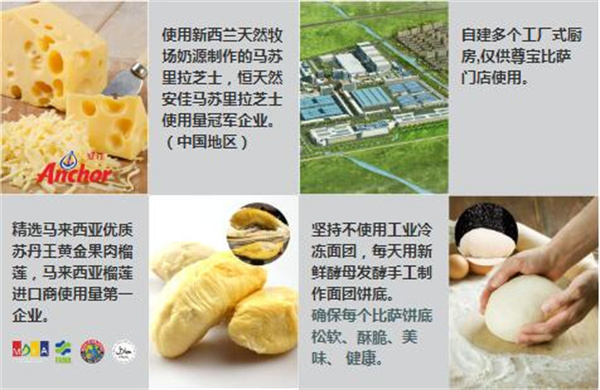 尊宝比萨加盟加盟费用