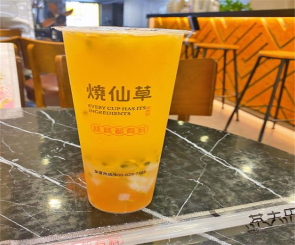 茶夫乐烧仙草加盟加盟费用