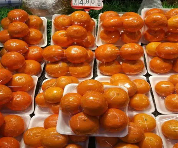 菠拿拿水果加盟加盟费用