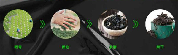 柠檬巴士加盟加盟费用