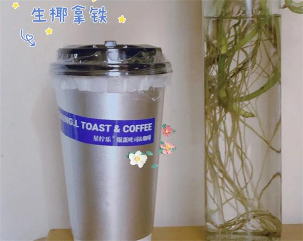 星柠乐爆蛋吐司加盟加盟费用