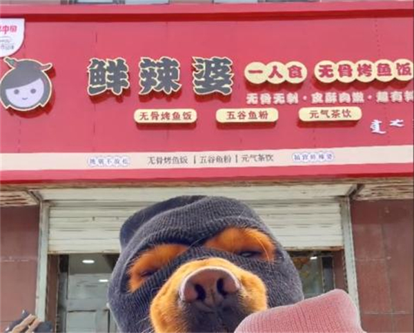 鲜辣婆无骨烤鱼饭加盟加盟费用
