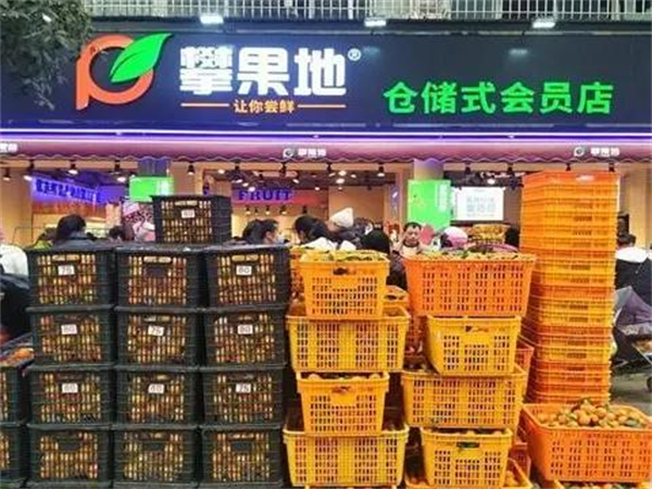 攀果地水果店加盟加盟费用