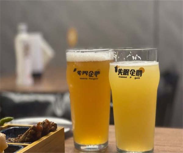 失眠企鹅精酿啤酒加盟加盟费用