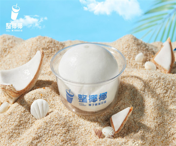 整椰椰加盟加盟费用